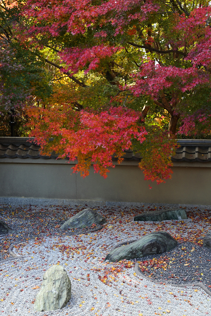 紅葉の東福寺 －龍吟庵－_b0169330_17165782.jpg