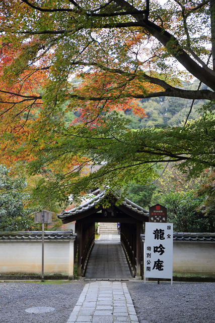 紅葉の東福寺 －龍吟庵－_b0169330_17184625.jpg