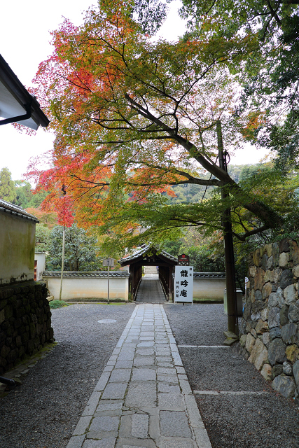 紅葉の東福寺 －龍吟庵－_b0169330_17185448.jpg
