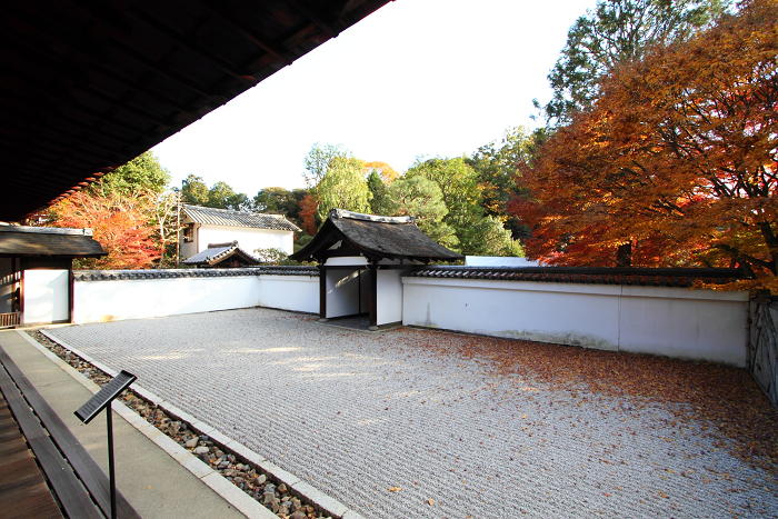 紅葉の東福寺 －龍吟庵－_b0169330_17344913.jpg