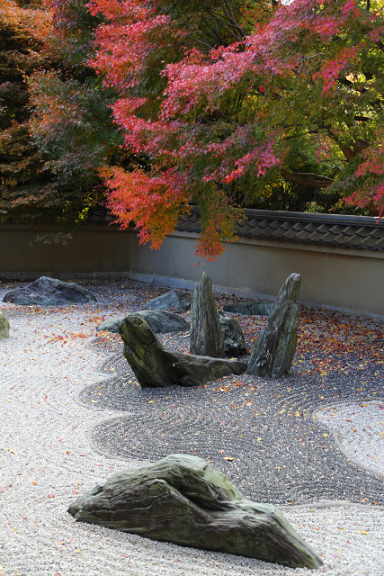 紅葉の東福寺 －龍吟庵－_b0169330_17352717.jpg