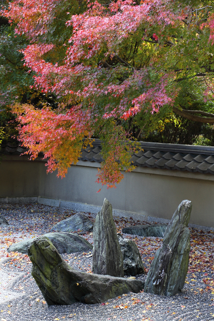 紅葉の東福寺 －龍吟庵－_b0169330_17353611.jpg