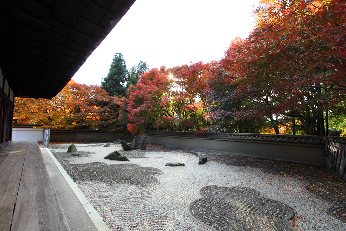紅葉の東福寺 －龍吟庵－_b0169330_17354697.jpg