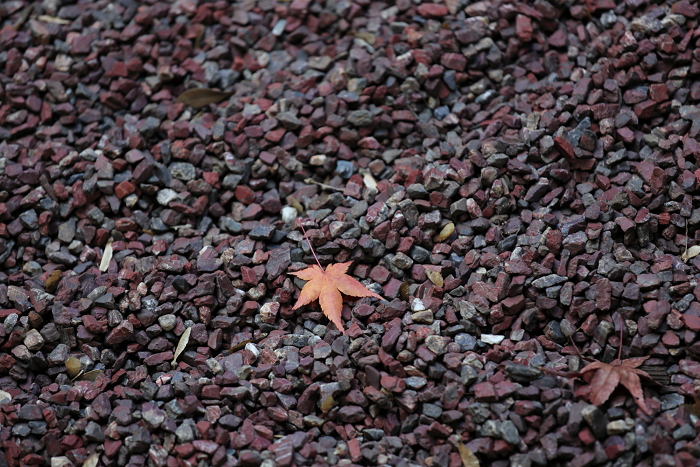 紅葉の東福寺 －龍吟庵－_b0169330_23103063.jpg