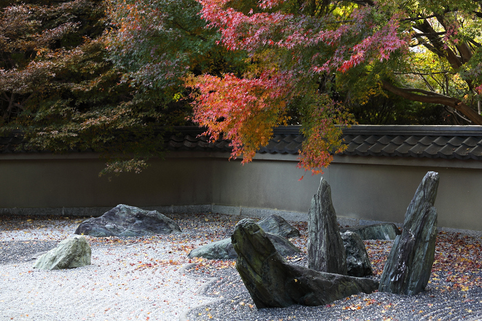 紅葉の東福寺 －龍吟庵－_b0169330_2393595.jpg