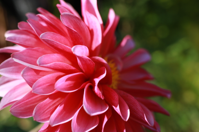 f0348831_22060800.jpg