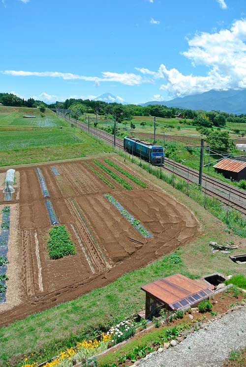 【県外蕎麦屋巡り - 手打蕎麦 眞 (長野・富士見) -】_a0005436_1612648.jpg