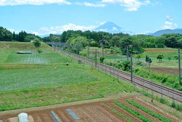 【県外蕎麦屋巡り - 手打蕎麦 眞 (長野・富士見) -】_a0005436_1683341.jpg