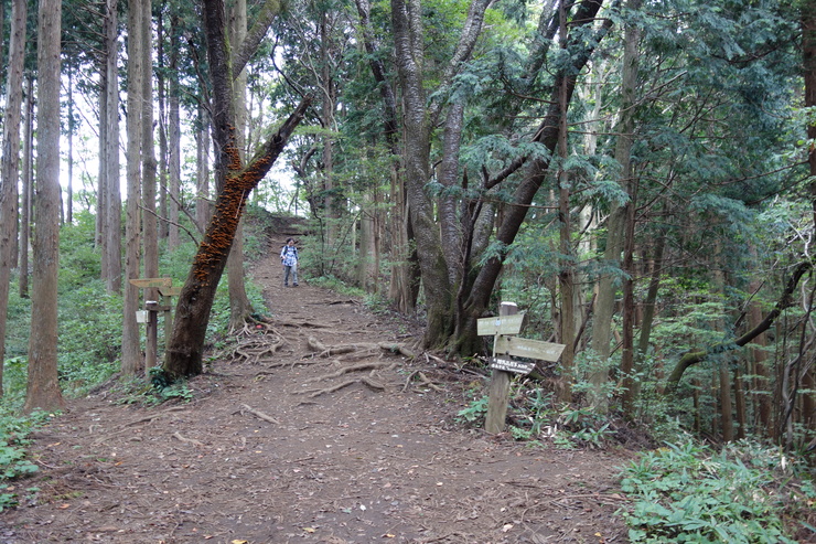 登山靴の慣らしを兼ねて、高尾山に行ってみたつもりが景信山を通り越して陣馬山を目指してる件 その5_a0287336_0020100.jpg