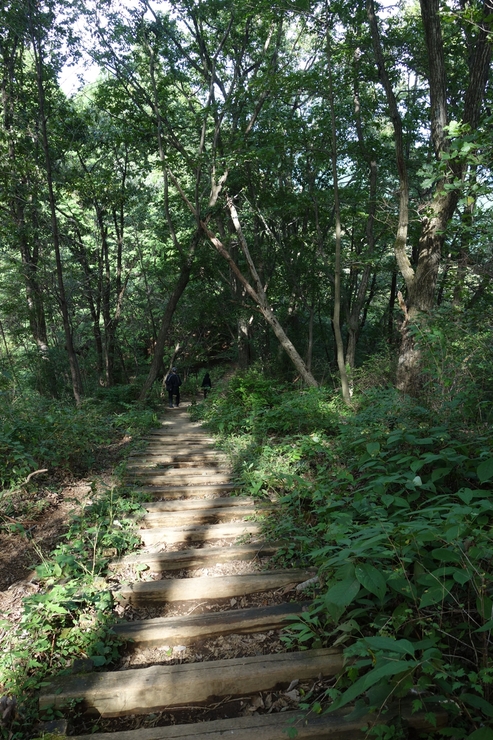 登山靴の慣らしを兼ねて、高尾山に行ってみたつもりが景信山を通り越して陣馬山を目指してる件 その5_a0287336_026062.jpg