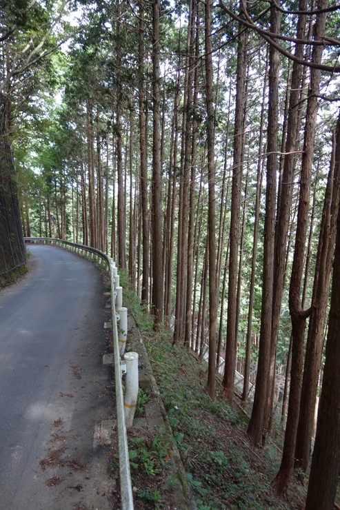 登山靴の慣らしを兼ねて、高尾山に行ってみたつもりが景信山を通り越して陣馬山を目指してる件 その5_a0287336_0351055.jpg