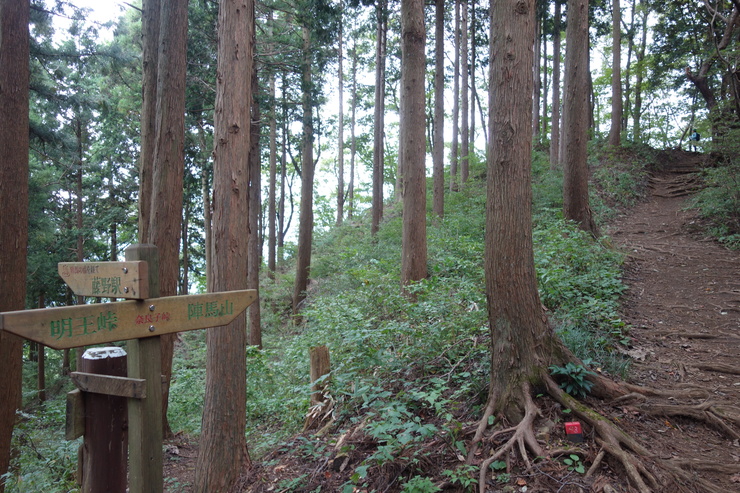 登山靴の慣らしを兼ねて、高尾山に行ってみたつもりが景信山を通り越して陣馬山を目指してる件 その5_a0287336_054474.jpg