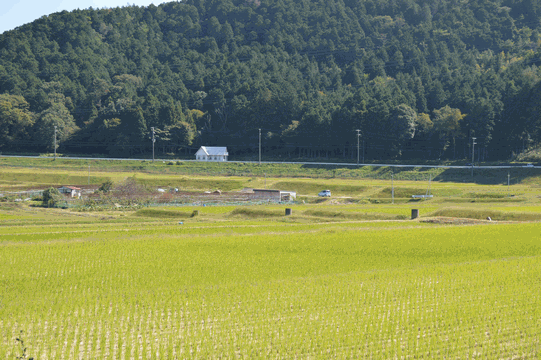 c0136736_18125413.gif