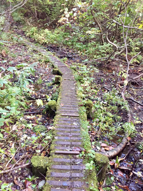 c0225536_04454368.jpg