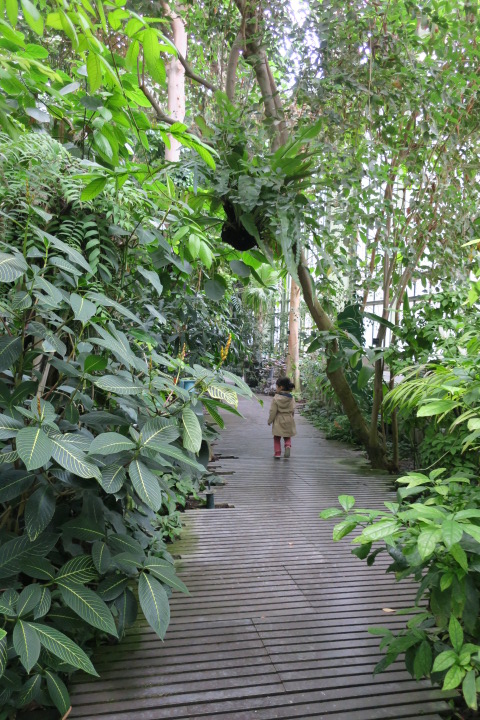 e0300042_2494455.jpg