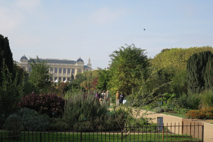 e0300042_3242136.jpg