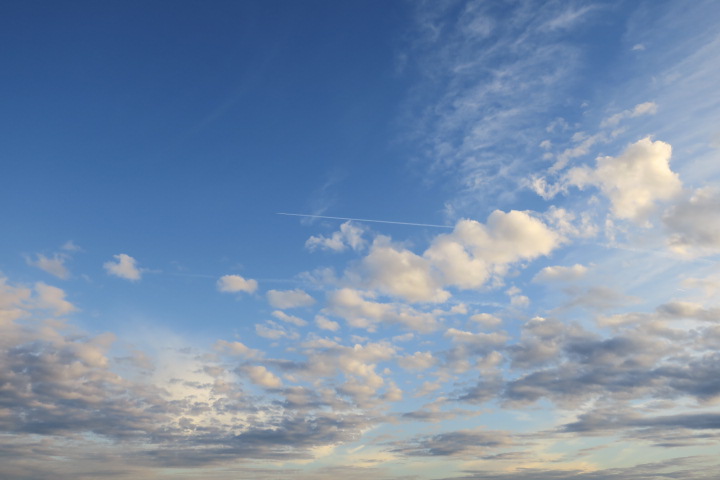 e0300042_3253147.jpg