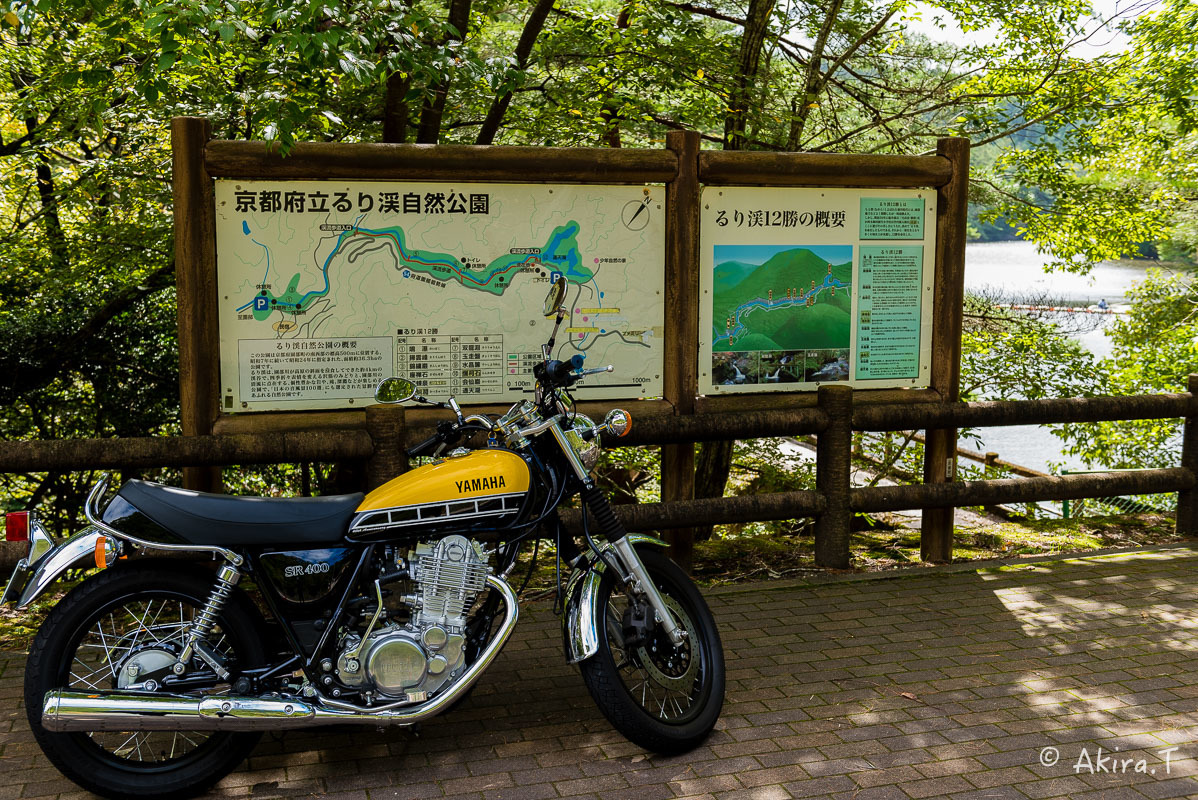 f0152550_17360134.jpg