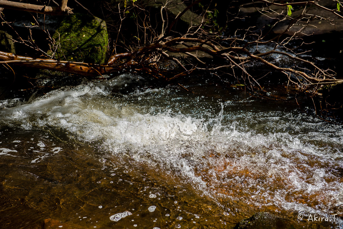 f0152550_17380158.jpg
