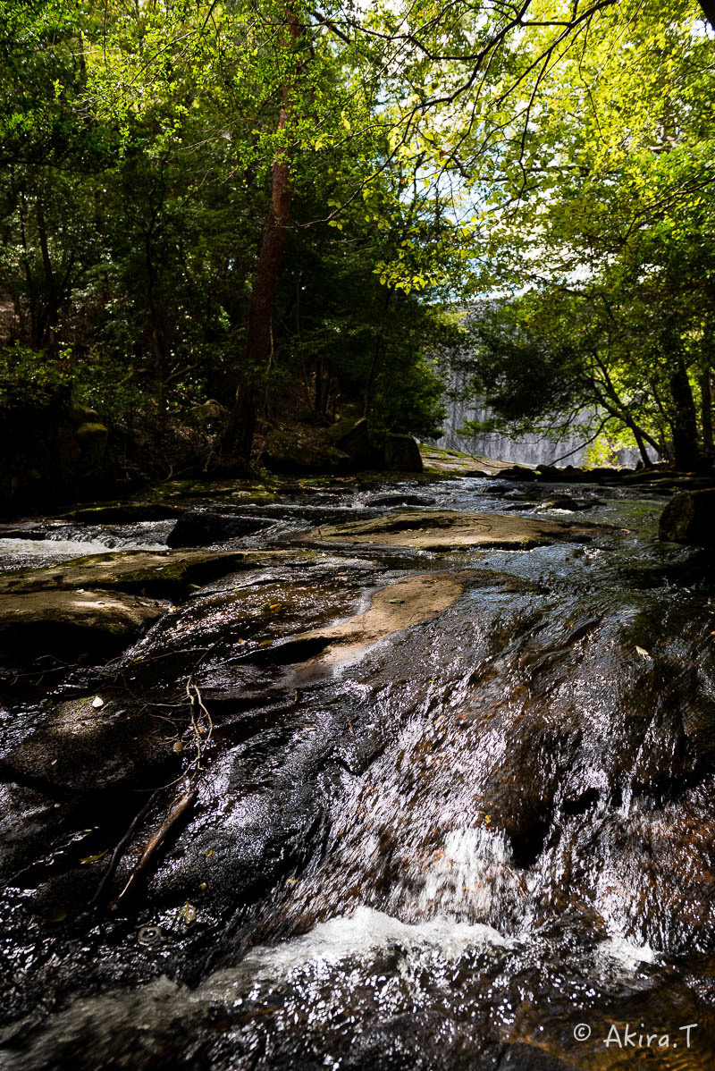 f0152550_17401049.jpg