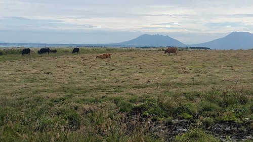 阿蘇の大地で深呼吸_f0343750_20353640.jpg