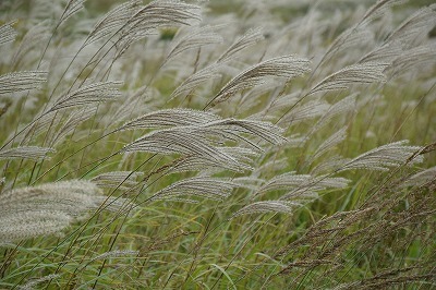 f0343750_20371809.jpg