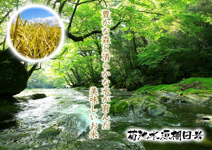 菊池水源棚田米 平成28年度の稲刈りスタート!数量限定販売につきご注文はお急ぎください!_a0254656_17491639.jpg