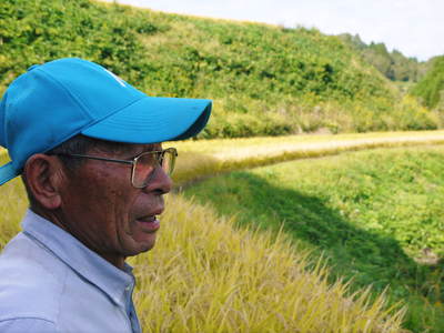 菊池水源棚田米 平成28年度の稲刈りスタート!数量限定販売につきご注文はお急ぎください!_a0254656_1753362.jpg