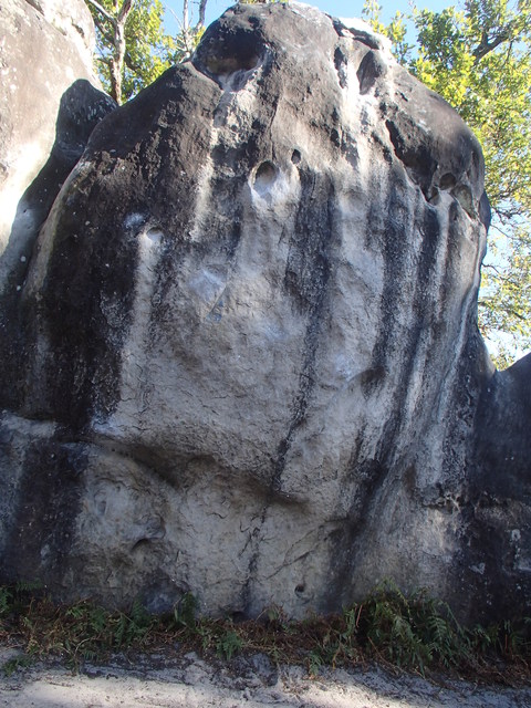 d0007657_930537.jpg