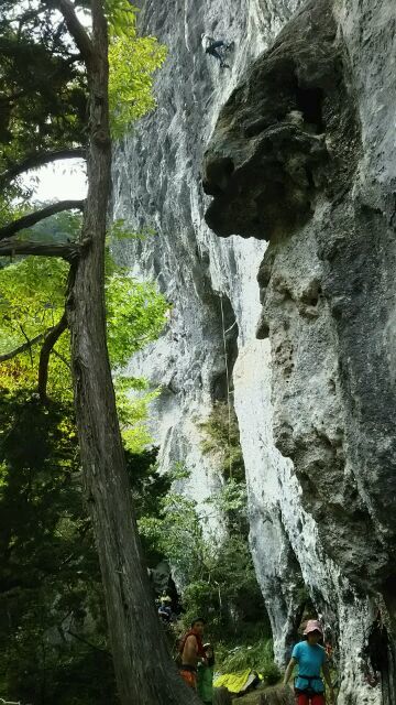 c0211368_21035216.jpg