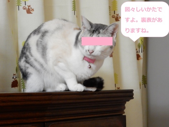 みんなの感想_e0355177_22333298.jpg