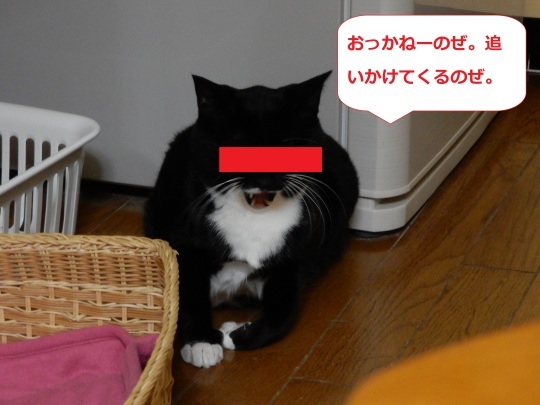 みんなの感想_e0355177_22334355.jpg