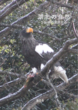 f0215179_160622.png