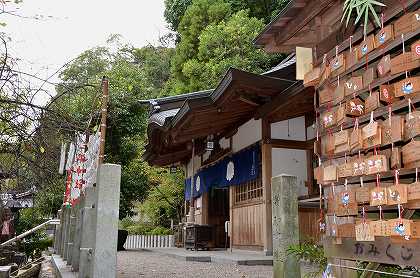 三都神社　伊勢大神楽　①_c0229483_22474240.jpg