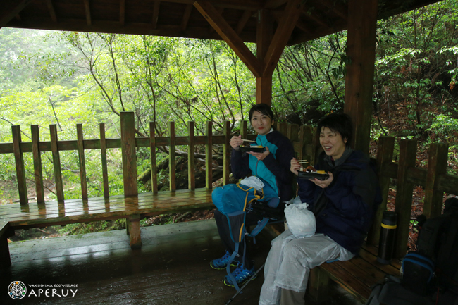 雨と生きもの＆旅フォトのすすめ_f0252883_13442485.jpg