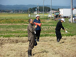 稲刈り体験(上目黒小・枝野小)_d0247484_2022499.jpg