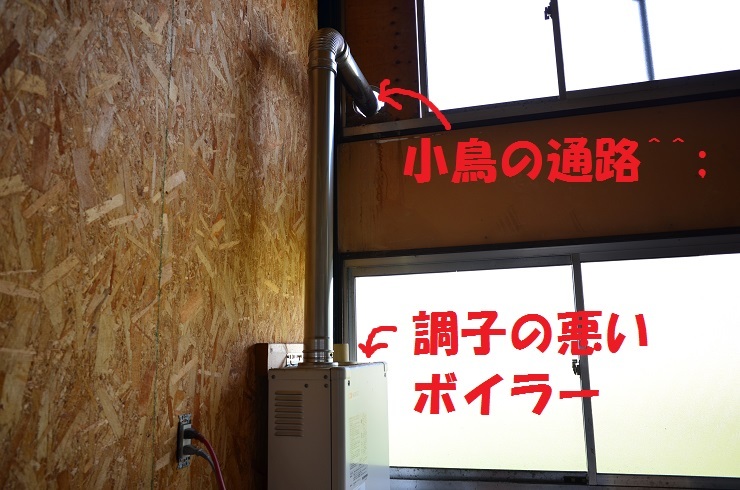 秋の日②(T_T)_a0211886_00055832.jpg