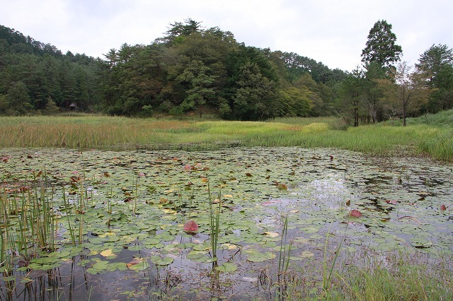 絶不調　黒沢湿原_d0156387_18163978.jpg