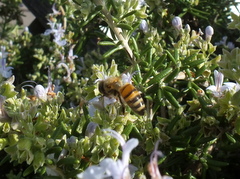 b0192588_9302131.jpg