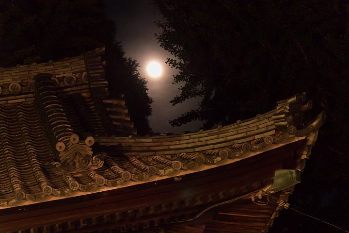 試楽の夜の七度参り_d0353489_19162914.jpg
