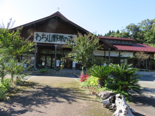 f0204295_19440751.jpg