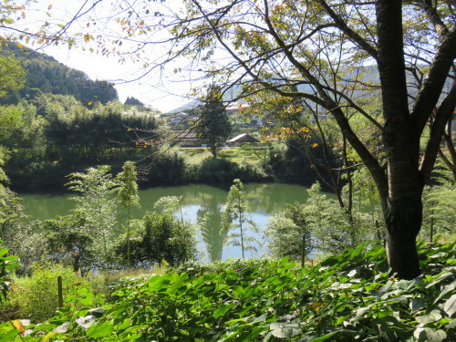 f0204295_19520082.jpg