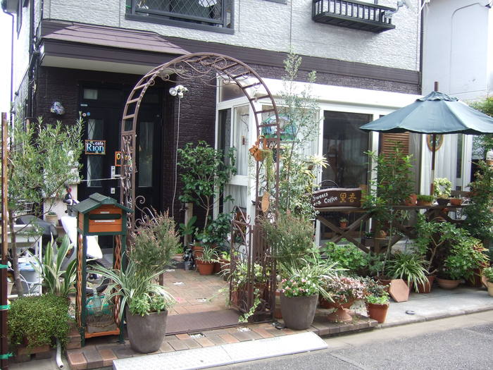 カフェ里音 今日の庭 柴犬 ひろゆきと さもない毎日 週末自宅カフェ里音 りをん 一之江 笑い療法士のいるカフェ 趣味好房 織