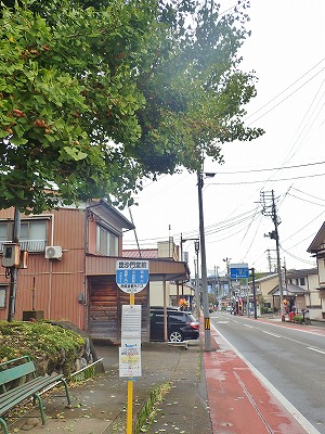菊祭りの準備が始まりました_c0336902_18142793.jpg