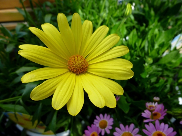 f0361605_22182288.jpg