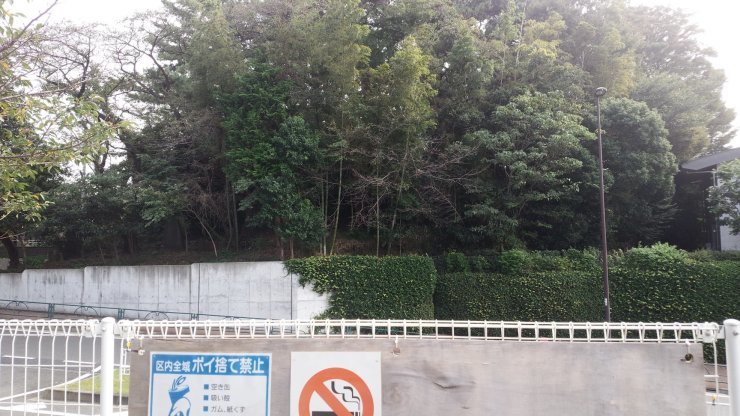 e0027711_08415811.jpg