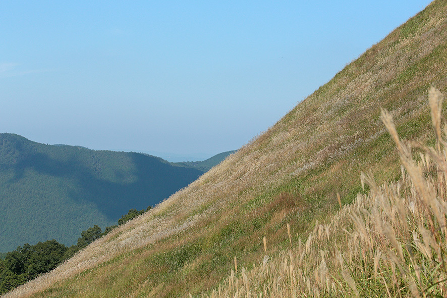 b0315912_21022164.jpg