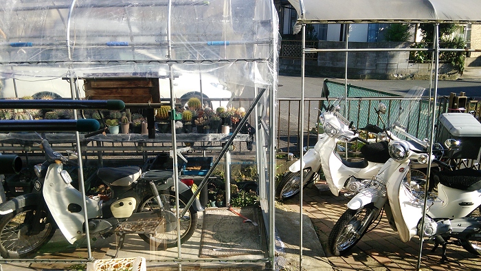 ビニールハウスのビニール張り替えを行いました 第一ビニールハウス 第二ビニールハウス 生き物と道具 ｂｙ 千葉の千太郎 千葉千