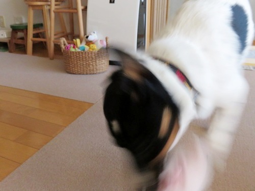 c0084117_21181648.jpg