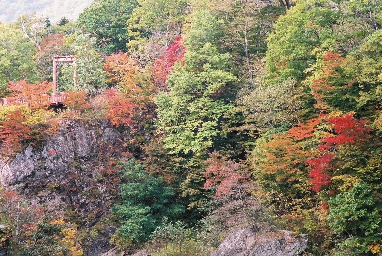 f0362725_16561677.jpg